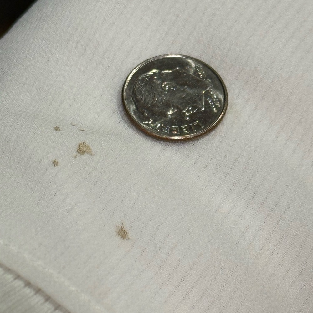 WHBM Sleeveless V-Neck Embellished Cami – Ecru Beaded Floral, Size M - Picture 13 of 14